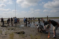 plaquemines sedimentation