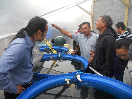 aquaponics training at mqvncdc