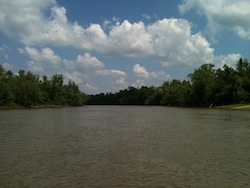 atchafalaya basin