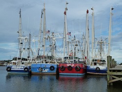 boats alabama