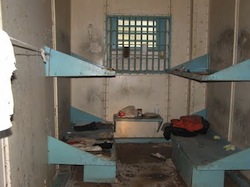 opp cell