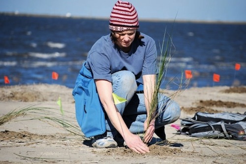 bayou grace planting