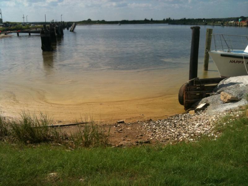 Safe and Open For Fishing??? Bridge The Gulf Project